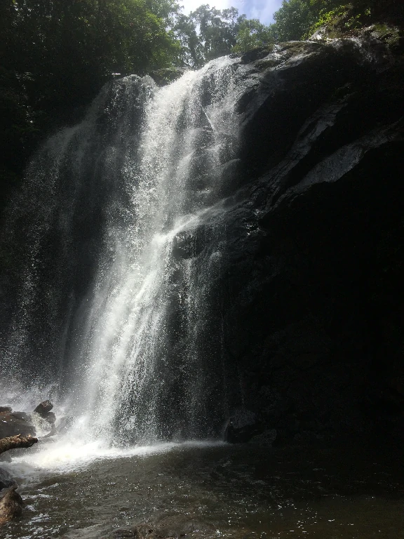 Waterfall Watching Tours in Sinharaja Rain Forest Reserve Sinharaja Tour Guide