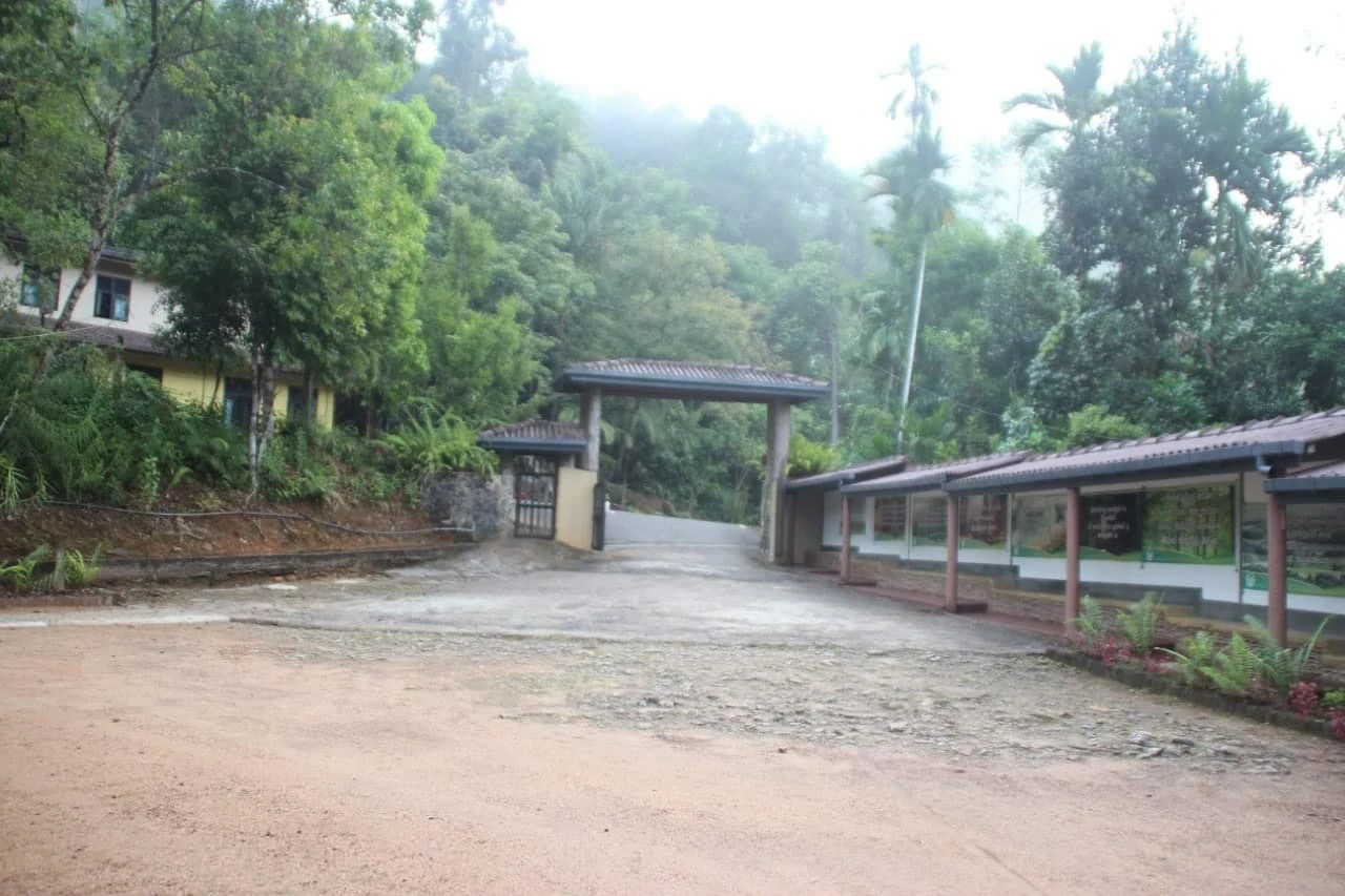 sinharaja-forest-pitadeniya-entrance-sinharaja-tour-guide