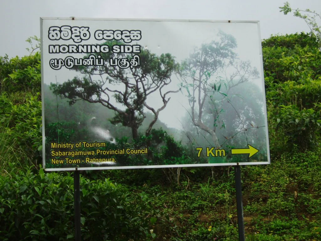 sinharaja-forest-pitadeniya-entrance-sinharaja-tour-guide