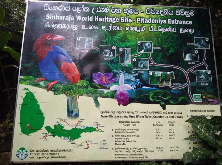 sinharaja-forest-pitadeniya-entrance-sinharaja-tour-guide